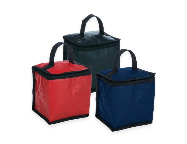 BOLSA TRMICA (4L)