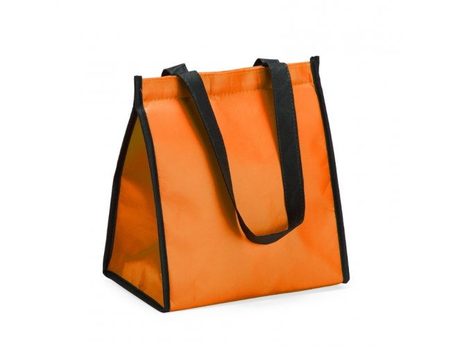 BOLSA TRMICA (6L)