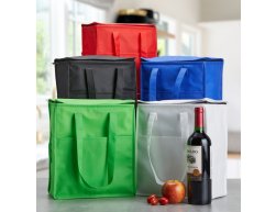 BOLSA TRMICA (9L)